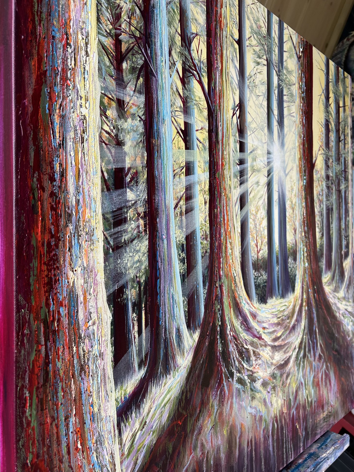 Bellever, Dartmoor National Park - Image 3