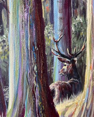 Bellever, Dartmoor National Park