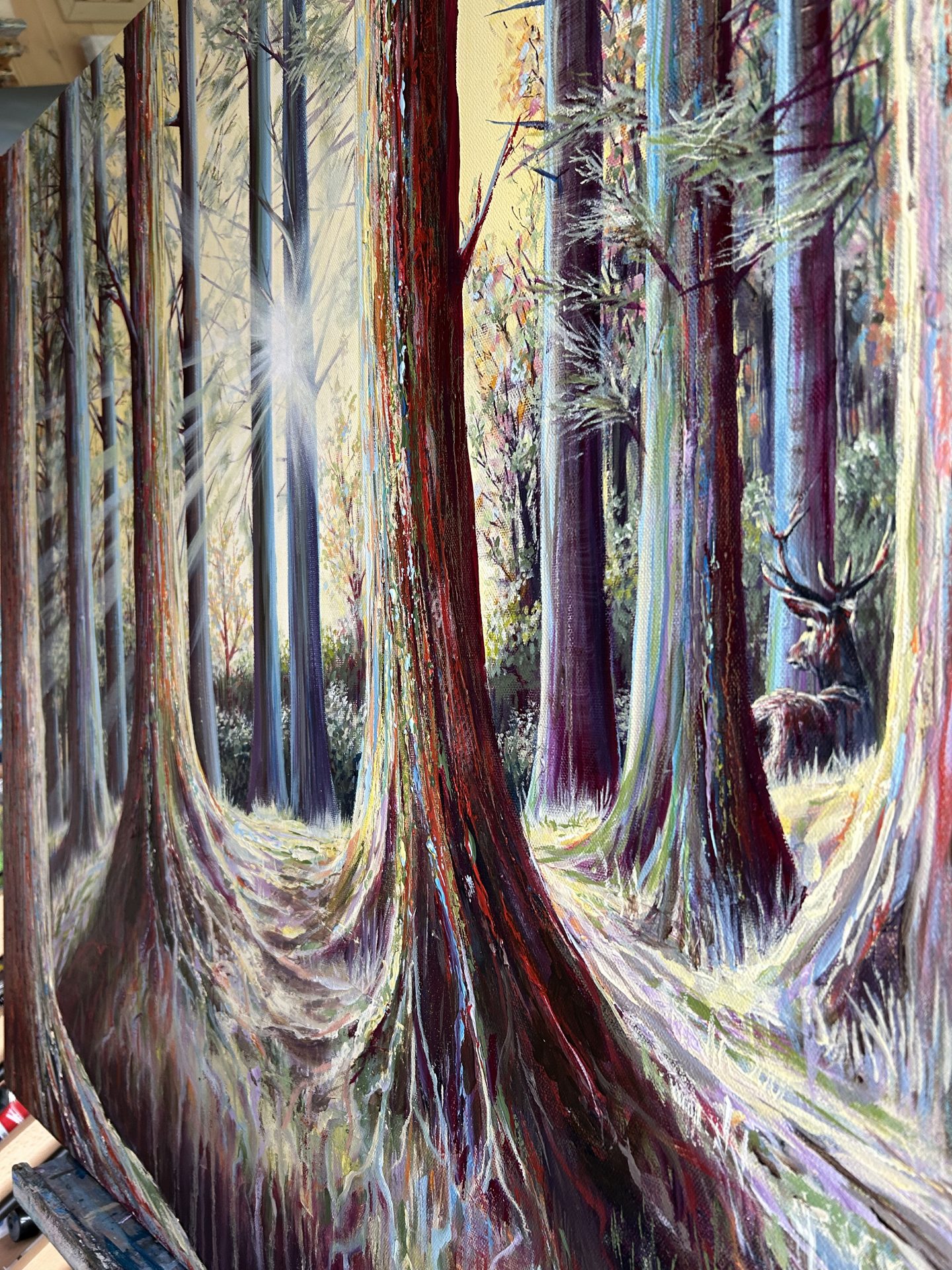 Bellever, Dartmoor National Park - Image 4