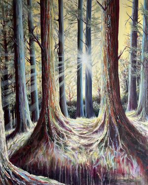 Bellever, Dartmoor National Park