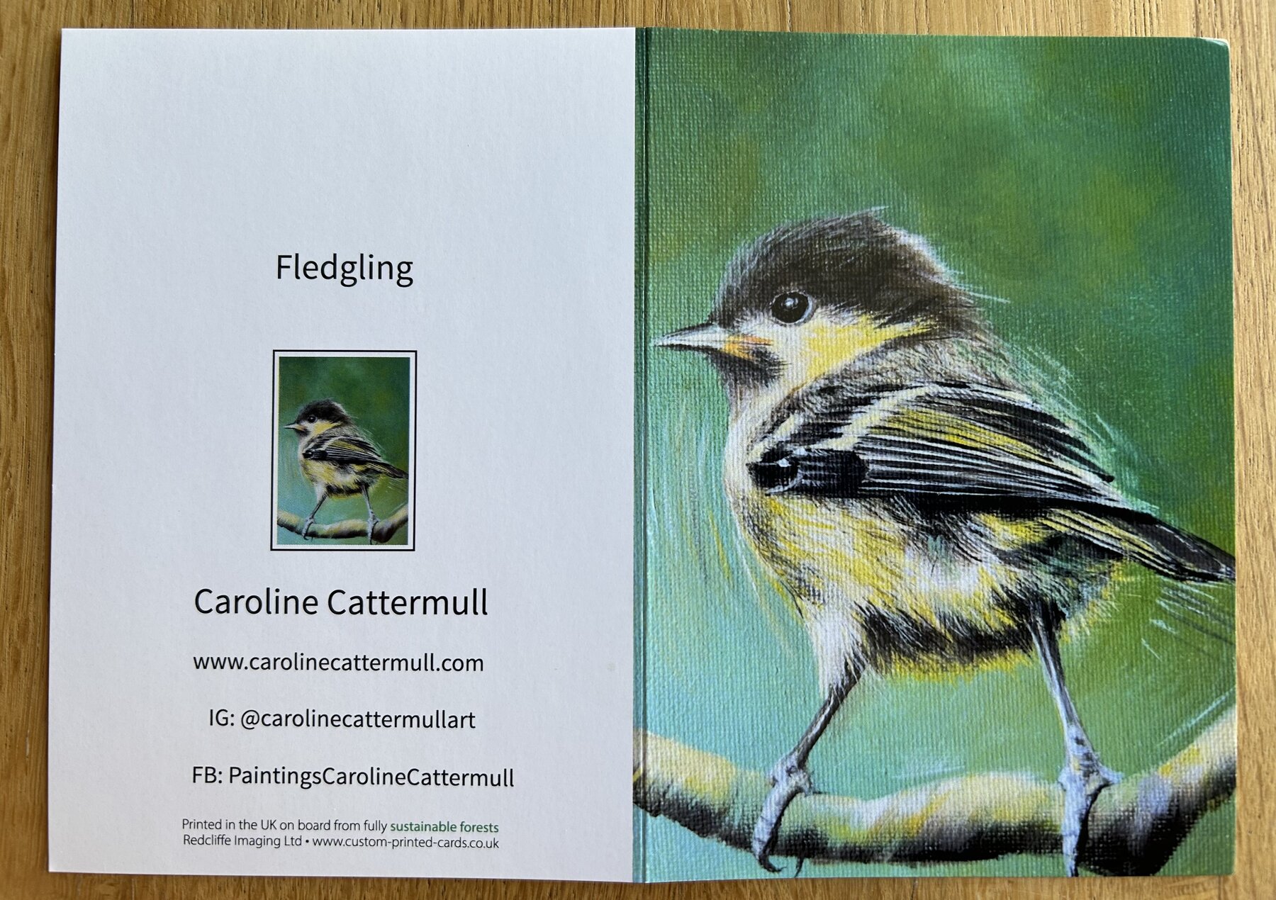Fledgling - Image 3