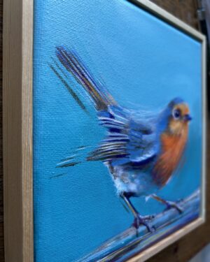 Robin