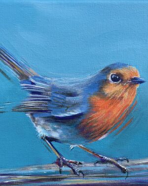 Robin